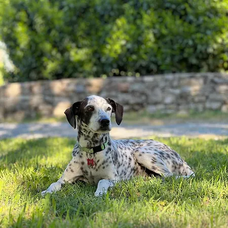 Casale Milleseicento Lantställe Gavi